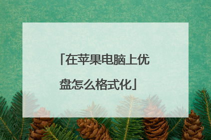 在苹果电脑上优盘怎么格式化