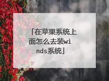 在苹果系统上面怎么去装winds系统