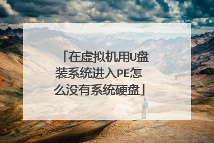 在虚拟机用U盘装系统进入PE怎么没有系统硬盘