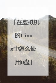 在虚拟机的Linux中怎么使用U盘
