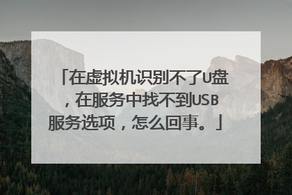 在虚拟机识别不了U盘，在服务中找不到USB服务选项，怎么回事。