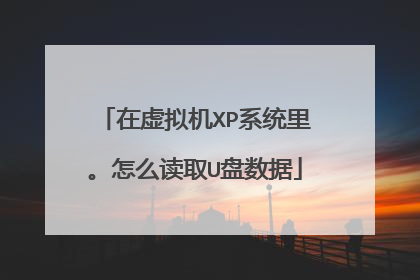 在虚拟机XP系统里。怎么读取U盘数据