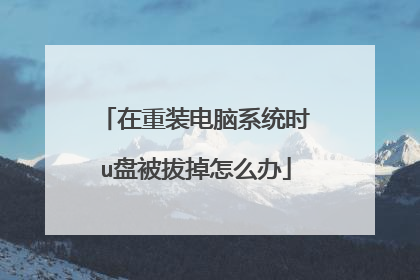 在重装电脑系统时u盘被拔掉怎么办