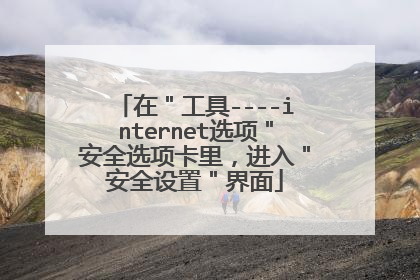 在"工具----internet选项"安全选项卡里,进入"安全设置"界面