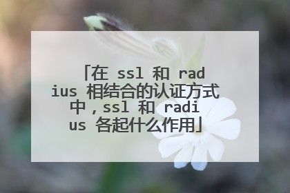 在 ssl 和 radius 相结合的认证方式中,ssl 和 radius 各起什么作用