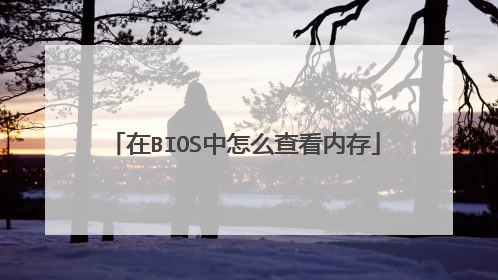 在BIOS中怎么查看内存