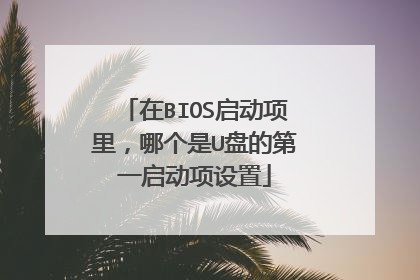 在BIOS启动项里,哪个是U盘的第一启动项设置