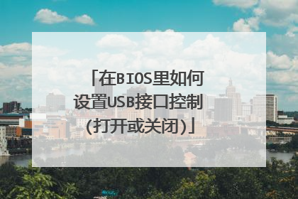 在BIOS里如何设置USB接口控制(打开或关闭)