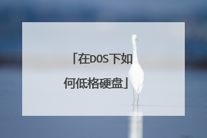 在DOS下如何低格硬盘