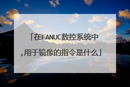 在FANUC数控系统中,用于镜像的指令是什么