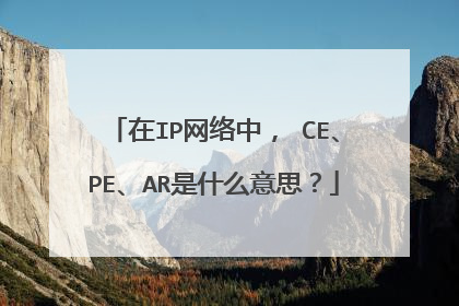 在IP网络中， CE、PE、AR是什么意思？