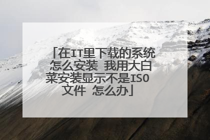 在IT里下载的系统 怎么安装 我用大白菜安装显示不是ISO文件 怎么办