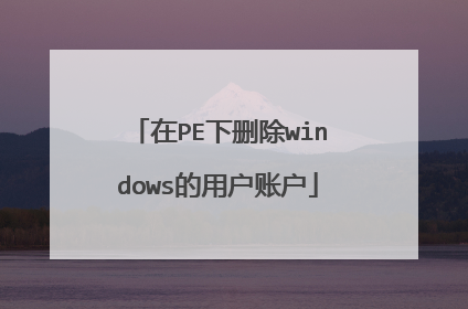在PE下删除windows的用户账户
