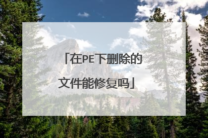 在PE下删除的文件能修复吗