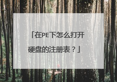 在PE下怎么打开硬盘的注册表?