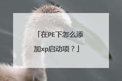 在PE下怎么添加xp启动项?