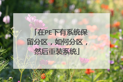 在PE下有系统保留分区，如何分区，然后重装系统
