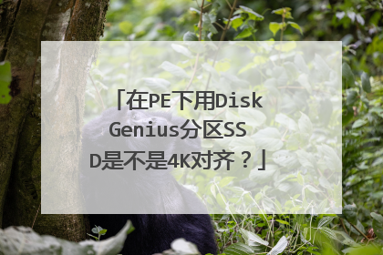 在PE下用DiskGenius分区SSD是不是4K对齐？