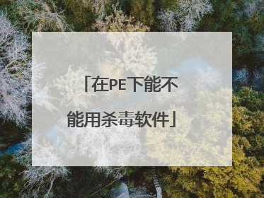 在PE下能不能用杀毒软件