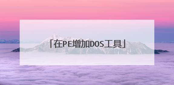 在PE增加DOS工具