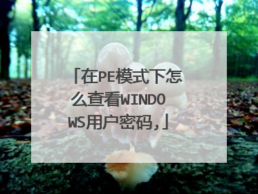 在PE模式下怎么查看WINDOWS用户密码,