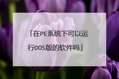 在PE系统下可以运行DOS版的软件吗