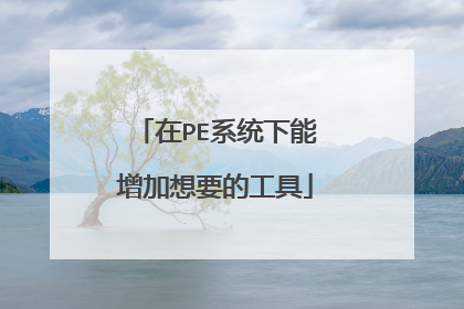 在PE系统下能增加想要的工具