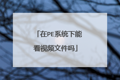 在PE系统下能看视频文件吗