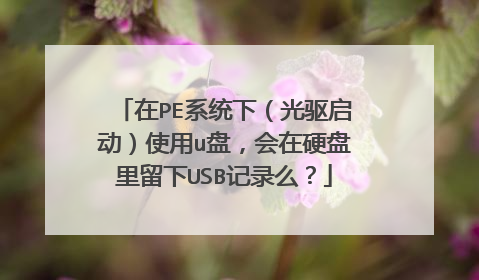 在PE系统下（光驱启动）使用u盘，会在硬盘里留下USB记录么？