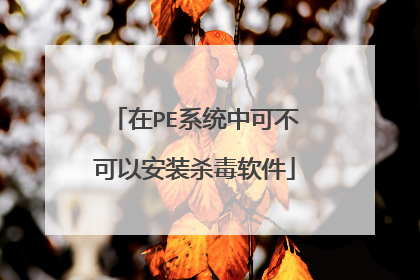 在PE系统中可不可以安装杀毒软件