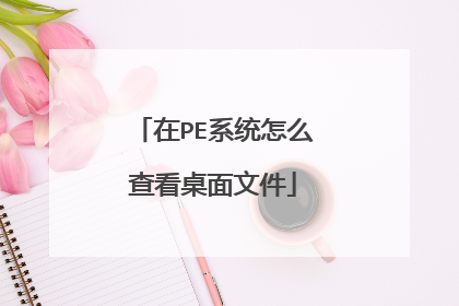 在PE系统怎么查看桌面文件