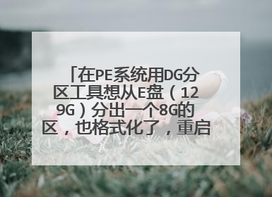 在PE系统用DG分区工具想从E盘(129G)分出一个8G的区,也格式化了,重启后电脑E盘和新分的盘都不见了。