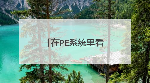 在PE系统里看见硬盘容量为0是怎么回事?