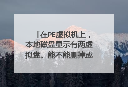 在PE虚拟机上，本地磁盘显示有两虚拟盘。能不能删掉或格式化，虚拟盘干什么用的。为什么在电脑上不显示