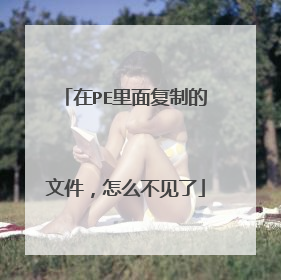 在PE里面复制的文件,怎么不见了