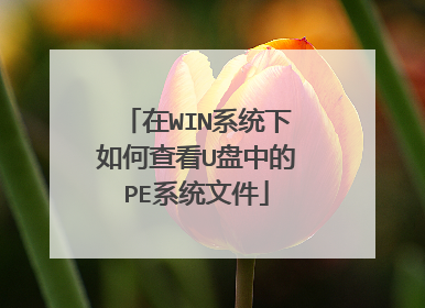 在WIN系统下如何查看U盘中的PE系统文件