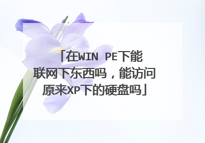 在WIN PE下能联网下东西吗,能访问原来XP下的硬盘吗