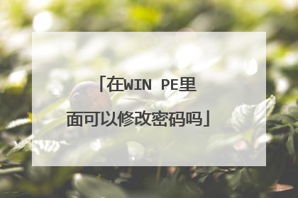 在WIN PE里面可以修改密码吗