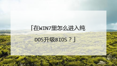 在WIN7里怎么进入纯DOS升级BIOS?