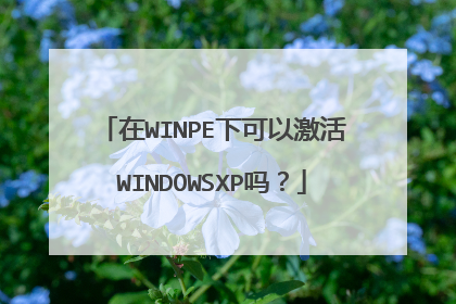 在WINPE下可以激活WINDOWSXP吗？