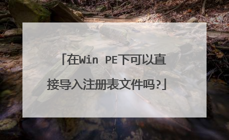 在Win PE下可以直接导入注册表文件吗?