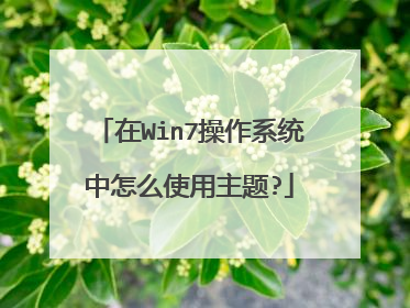 在Win7操作系统中怎么使用主题?