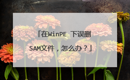 在WinPE 下误删SAM文件,怎么办?