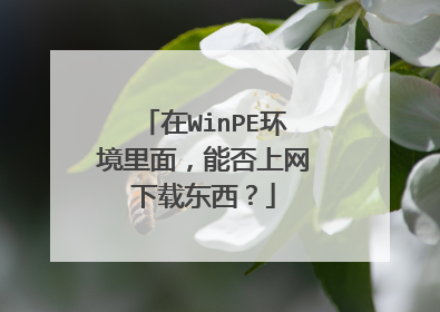 在WinPE环境里面，能否上网下载东西？