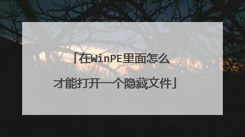 在WinPE里面怎么才能打开一个隐藏文件