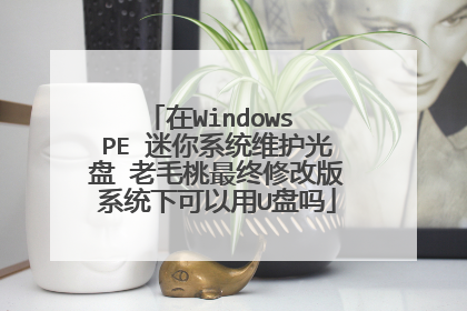 在Windows PE 迷你系统维护光盘 老毛桃最终修改版系统下可以用U盘吗