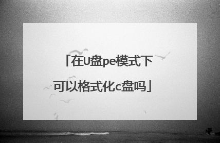 在U盘pe模式下可以格式化c盘吗