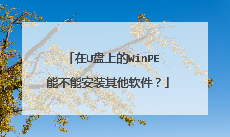 在U盘上的WinPE能不能安装其他软件?