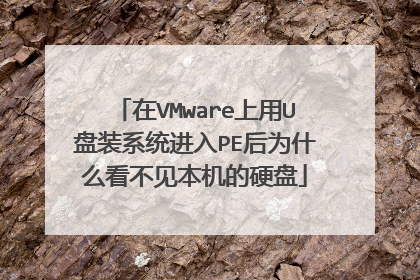 在VMware上用U盘装系统进入PE后为什么看不见本机的硬盘