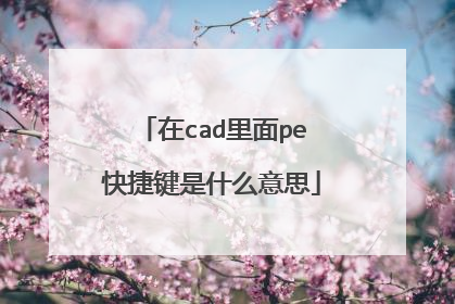 在cad里面pe快捷键是什么意思
